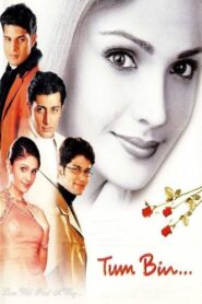 Tum Bin 2001 Hindi Full Movie Download | AMZN WebRip 1080p 14GB 4GB, 720p 1.2GB, 480p 410MB