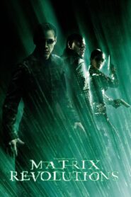 The Matrix Revolutions 2003 Full Movie Download Dual Audio Hindi English | BluRay 1080p 3GB, 720p 1.4GB