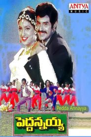 Peddannayya 1997 Telugu Full Movie Download | SUNNXT WEB-DL 720p 1.7GB 480p 530MB